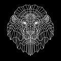 Night Lion Digital Art by Naxart Studio Night Lion Digital Art by Naxart Studio
