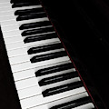 The Piano Photograph by Jelena Jovanovic The Piano Photograph by Jelena Jovanovic