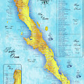 Baja Surf Map Metal Print by Lucan Hirales