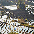 Rice Terraces, Yuanyang County, Honghe #1 Photograph by Peter Adams