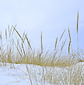 Seasonal Overlap by Ann Horn Seasonal Overlap by Ann Horn