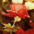 Single Rose Bloom In Gothic Digital Art by Kirt Tisdale Single Rose Bloom In Gothic Digital Art by Kirt Tisdale