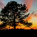 Sunset Silhouette Photograph by Cathy Kovarik Sunset Silhouette Photograph by Cathy Kovarik