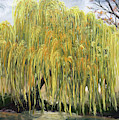 The Willow Tree Painting by Roxy Rich The Willow Tree Painting by Roxy Rich