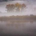 Trees In Fog Photograph by Tom Singleton Trees In Fog Photograph by Tom Singleton