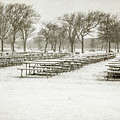 Waiting For Spring Photograph by Cathy Kovarik Waiting For Spring Photograph by Cathy Kovarik