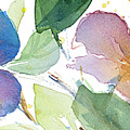 Watercolor Flowers Panel II #1 Painting by Lanie Loreth Watercolor Flowers Panel II #1 Painting by Lanie Loreth