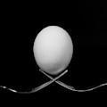 White egg resting on two metal and shiny forks on a black backg Photograph by Michalakis Ppalis White egg resting on two metal and shiny forks on a black backg Photograph by Michalakis Ppalis