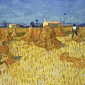 Corn Harvest In Provence Painting by Vincent Van Gogh Corn Harvest In Provence Painting by Vincent Van Gogh