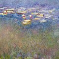 Water Lilies Painting by Claude Monet