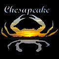 Chesapeake by Brian Wallace Chesapeake by Brian Wallace