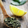 Green Tea #2 by Jelena Jovanovic