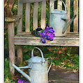 In The Garden Photograph by Peggy Dietz In The Garden Photograph by Peggy Dietz