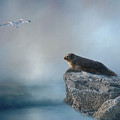On The Rocks Photograph by Cathy Kovarik On The Rocks Photograph by Cathy Kovarik