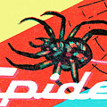 Spider #2 Drawing by CSA Images Spider #2 Drawing by CSA Images