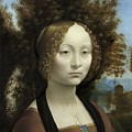 Ginevra De Benci Painting by Leonardo Da Vinci Ginevra De Benci Painting by Leonardo Da Vinci