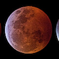 2019 Lunar Eclipse Progression by Dennis Sprinkle