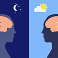 Sleep Wake Cycle #23 Photograph by Science Photo Library