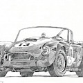 289 Cobra Competition Drawing by David Lloyd Glover 289 Cobra Competition Drawing by David Lloyd Glover
