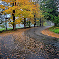 Autumn Road Photograph by Tom Singleton Autumn Road Photograph by Tom Singleton