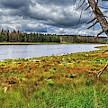 The Harz National Park Photograph by Bernd Laeschke The Harz National Park Photograph by Bernd Laeschke
