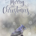 Merry Christmas Photograph by Cathy Kovarik Merry Christmas Photograph by Cathy Kovarik