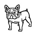 Bulldog Drawing by CSA Images Bulldog Drawing by CSA Images