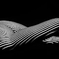 5298 Zebra Woman H Digital Art by Chris Maher 5298 Zebra Woman H Digital Art by Chris Maher