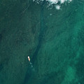 Aerial View Of Surfer In The Ocean #10 by Cavan Images