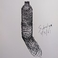 A bottle Drawing by Sukalya Chearanantana A bottle Drawing by Sukalya Chearanantana
