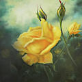 Yellow Friendship Rose Painting by Lynne Pittard Yellow Friendship Rose Painting by Lynne Pittard