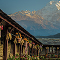 A glowing fall day in the Himalayas Photograph by Leslie Struxness A glowing fall day in the Himalayas Photograph by Leslie Struxness