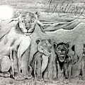 A Motherz Pride Drawing by Joseph Lil Man Valencia A Motherz Pride Drawing by Joseph Lil Man Valencia