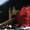 A Patriots Passing Photograph by Michelle Wermuth A Patriots Passing Photograph by Michelle Wermuth