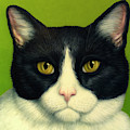 A Serious Cat Painting by James W Johnson A Serious Cat Painting by James W Johnson
