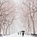 A Snowy Lane by Tim Palmer A Snowy Lane by Tim Palmer