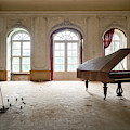 Abandoned Grand Piano Photograph by Roman Robroek Abandoned Grand Piano Photograph by Roman Robroek