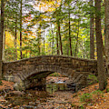 Acadia Bridge by Karin Pinkham