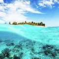 Adrift  by Tyler Rooke
