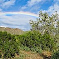 After an Arizona Winter Rain Photograph by Judy Kennedy After an Arizona Winter Rain Photograph by Judy Kennedy
