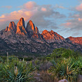 Organ Moutains, Aguirre Spring Photograph by Tim Fitzharris Organ Moutains, Aguirre Spring Photograph by Tim Fitzharris