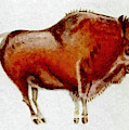 Altamira Prehistoric Bison Digital Art by Weston Westmoreland Altamira Prehistoric Bison Digital Art by Weston Westmoreland