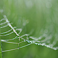 Amazing Photograph by Michelle Wermuth Amazing Photograph by Michelle Wermuth