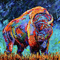 American Bison by Debra Hurd American Bison by Debra Hurd