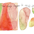 And the days begain to shift their shapes. by Anna Elkins