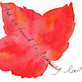 And we turned to dreaming leaves by Anna Elkins