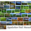 Appalachian Trail Massachusetts Photograph by Raymond Salani III Appalachian Trail Massachusetts Photograph by Raymond Salani III