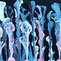 Aquatic Flowers 1 by Kathy Marrs Chandler Aquatic Flowers 1 by Kathy Marrs Chandler