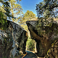 Arch Rock Entrance Photograph by Portia Olaughlin Arch Rock Entrance Photograph by Portia Olaughlin