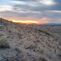 Arizona Desert Photograph by Anthony Giammarino Arizona Desert Photograph by Anthony Giammarino